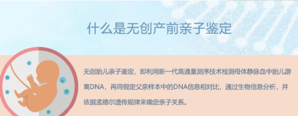 怀孕几个月德州如何做胎儿亲子鉴定,在德州怀孕了做亲子鉴定准确率高吗